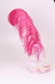 Розовое перо для пожеланий