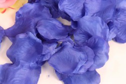 Синие лепестки роз