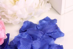 Синие лепестки роз