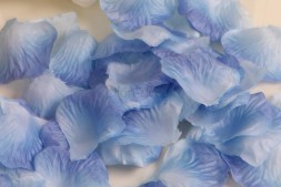 Голубые лепестки роз