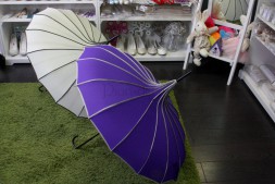 Японский зонтик