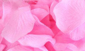 Нежные розовые лепестки
