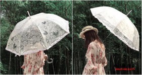 Прозрачный зонтик с рисунком